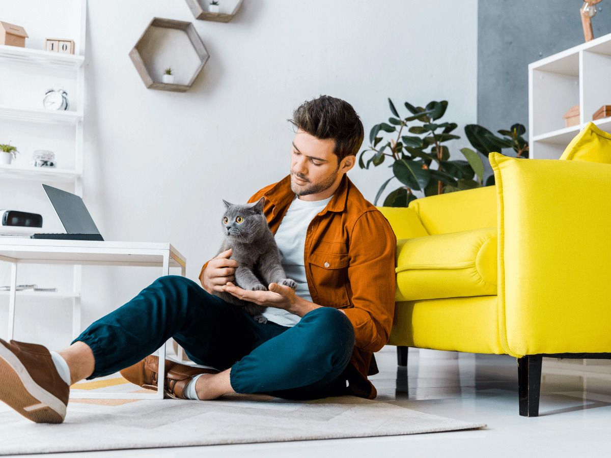 tips para que mi gato no se escape de casa