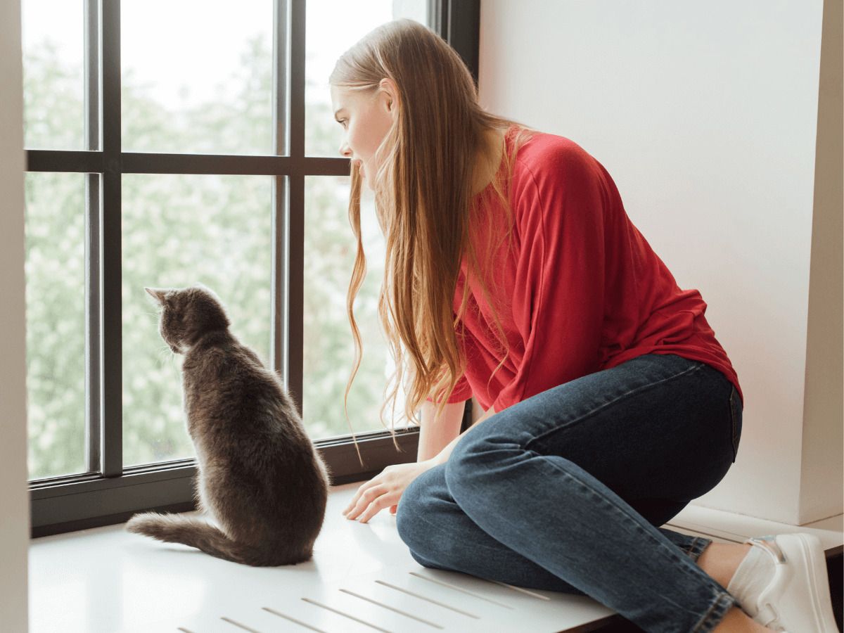 trucos para que el gato no se marche