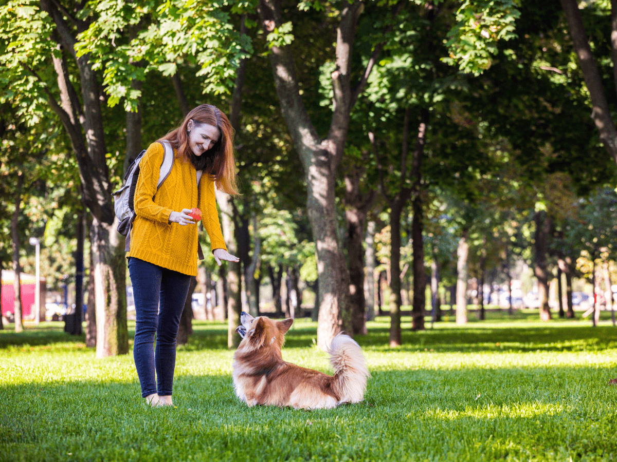 parques para perros en españa