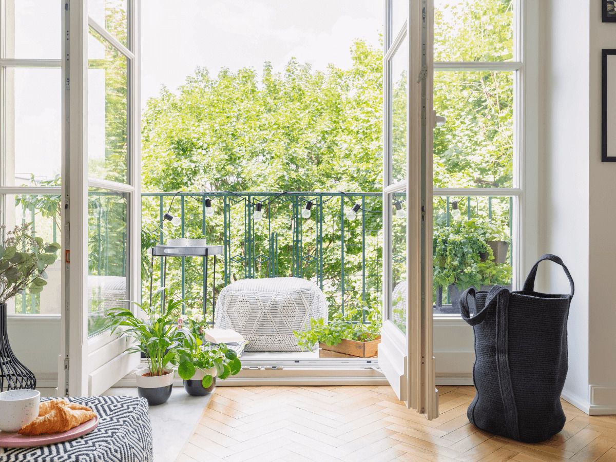 plantas resistentes al verano