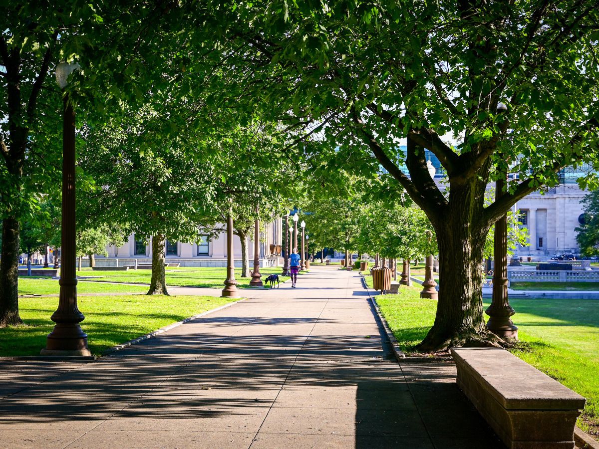 Limpieza en las calles barrio nuevo