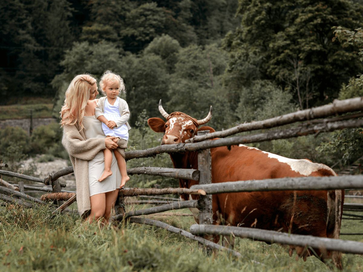 envejecimiento poblacion europea