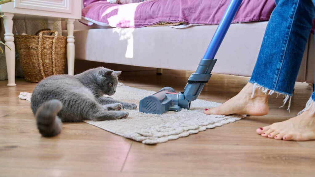 Trucos para vivienda para personas que sufren alergias