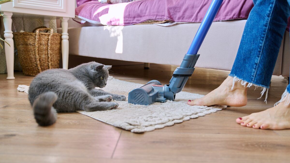 Trucos para vivienda para personas que sufren alergias