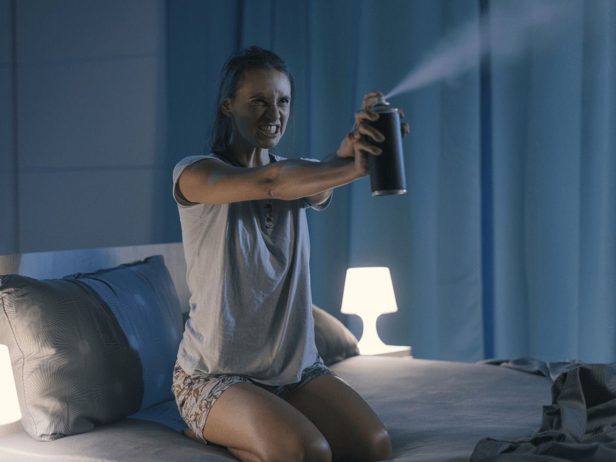 como eliminar una plaga de chinches