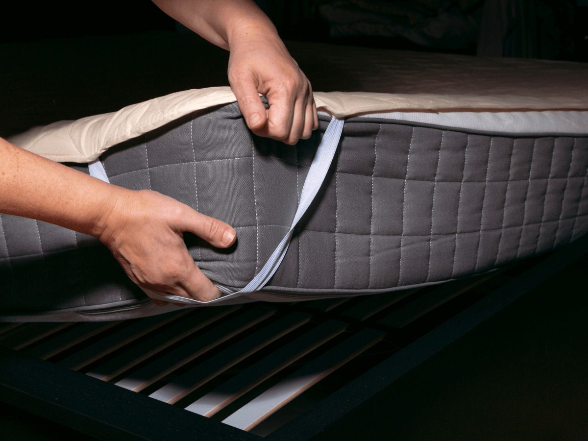 chinches en nuestra cama