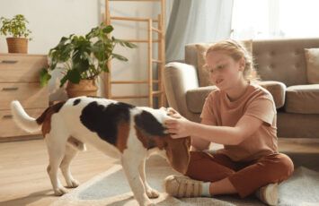 ¿Puede vivir un perro de servicio en un piso de alquiler que no acepta mascotas?