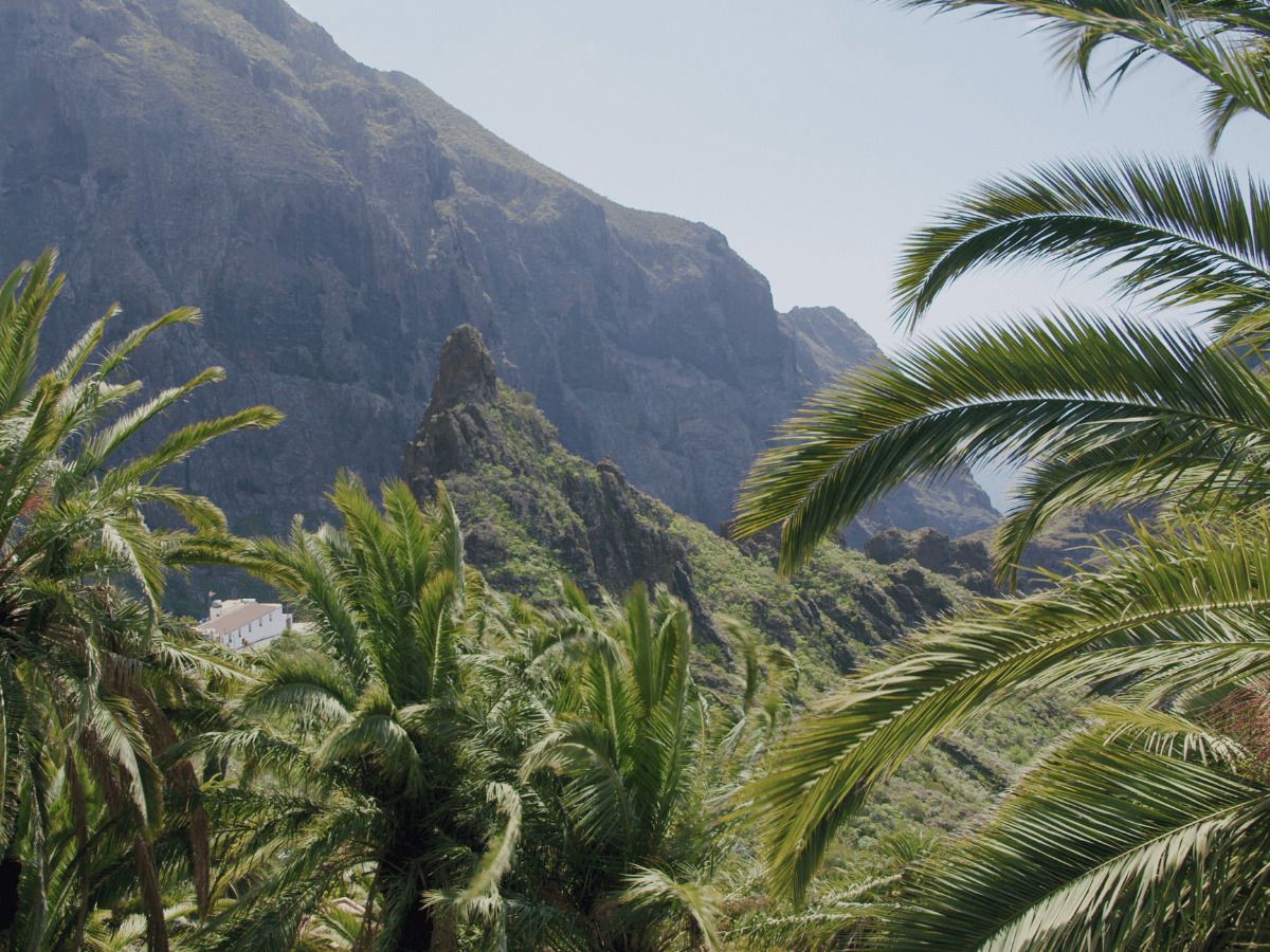mercado de la vivienda canarias