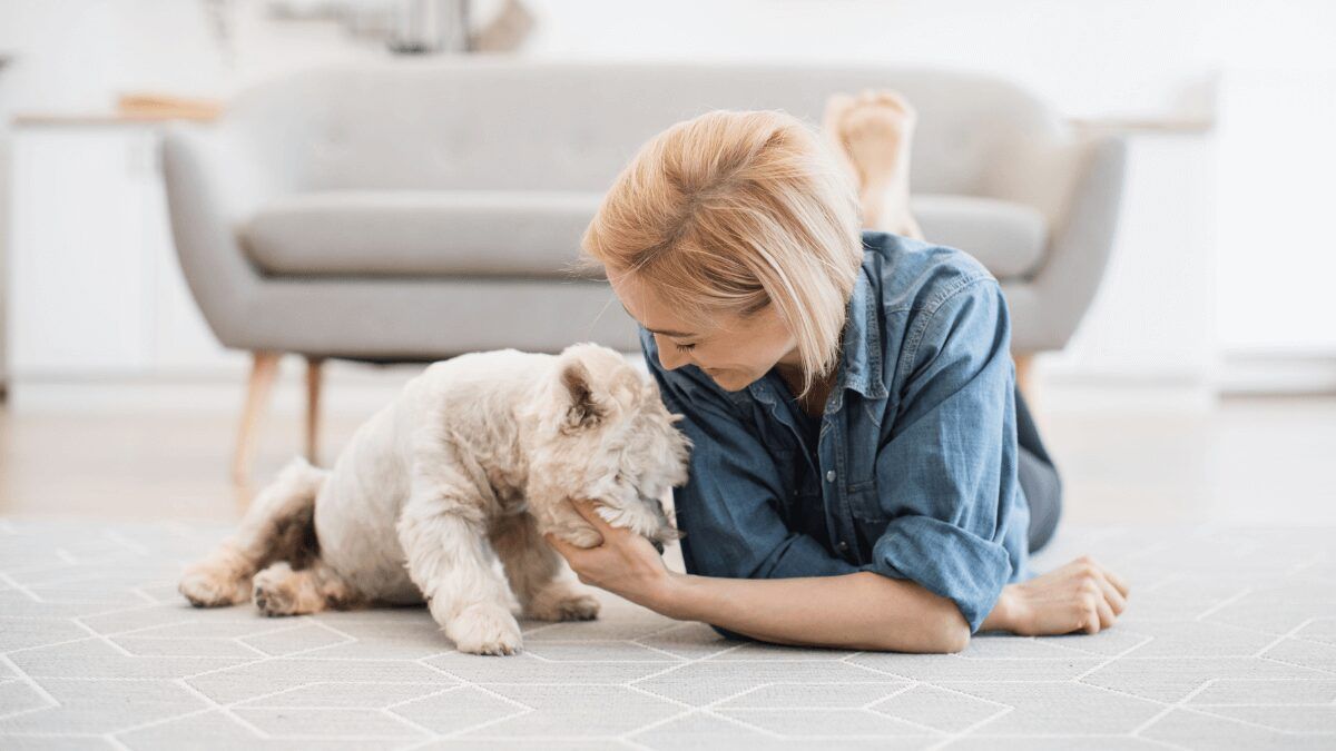 ¿Cuál es la ciudad mejor valorada para vivir con tu mascota?