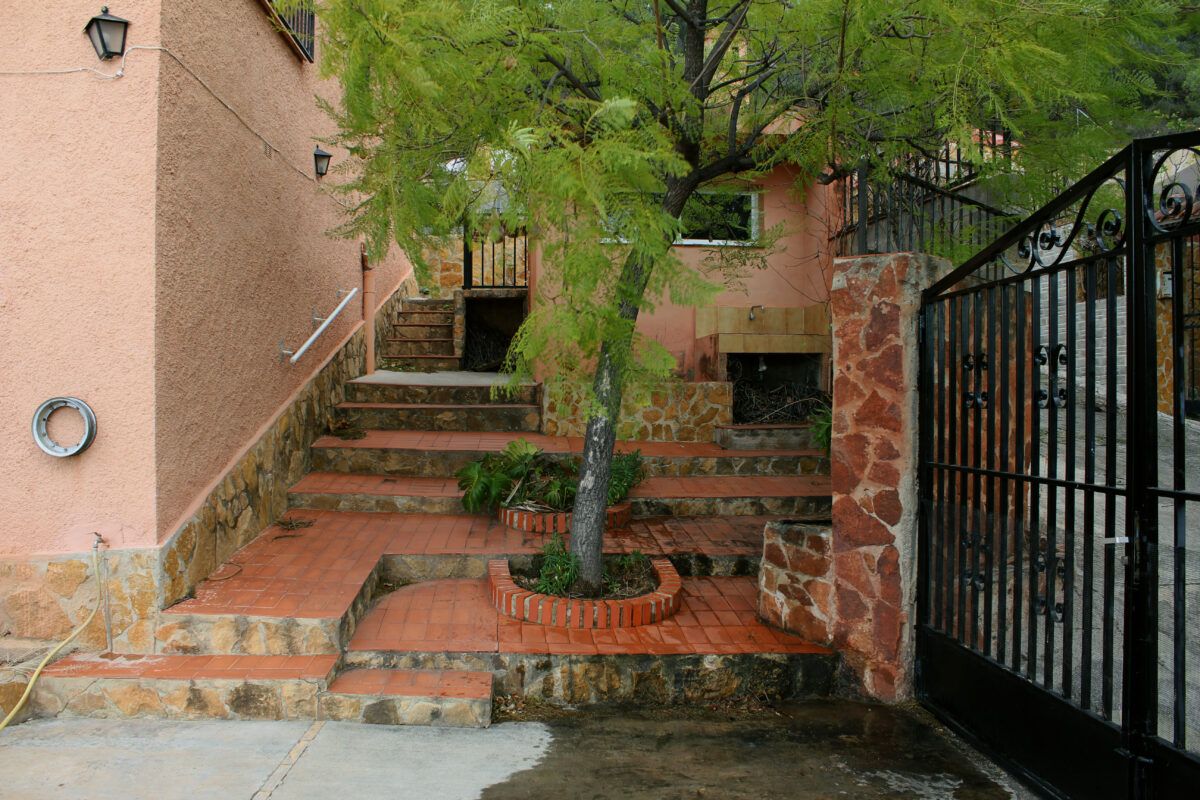Arbol en la entrada de La Casa