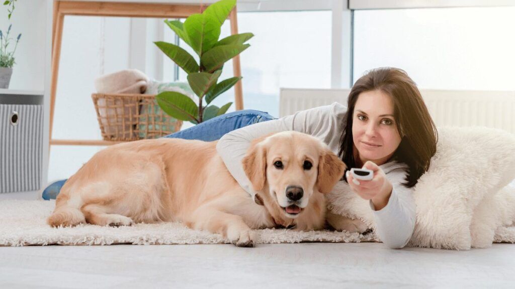 10 ideas de muebles originales para tu perro