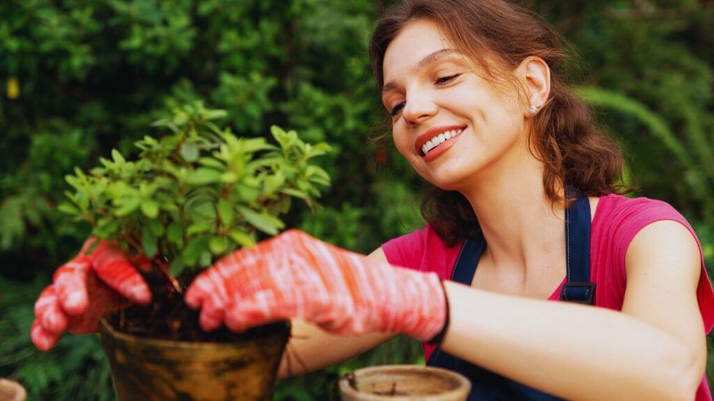 ¿Cuánto cuesta hacer un jardín? Guía práctica y económica