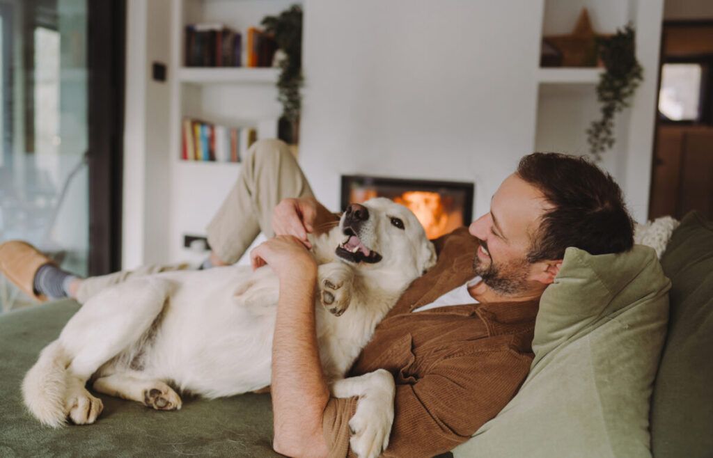 ¿Cuáles son los derechos y obligaciones de tener mascotas en una comunidad?