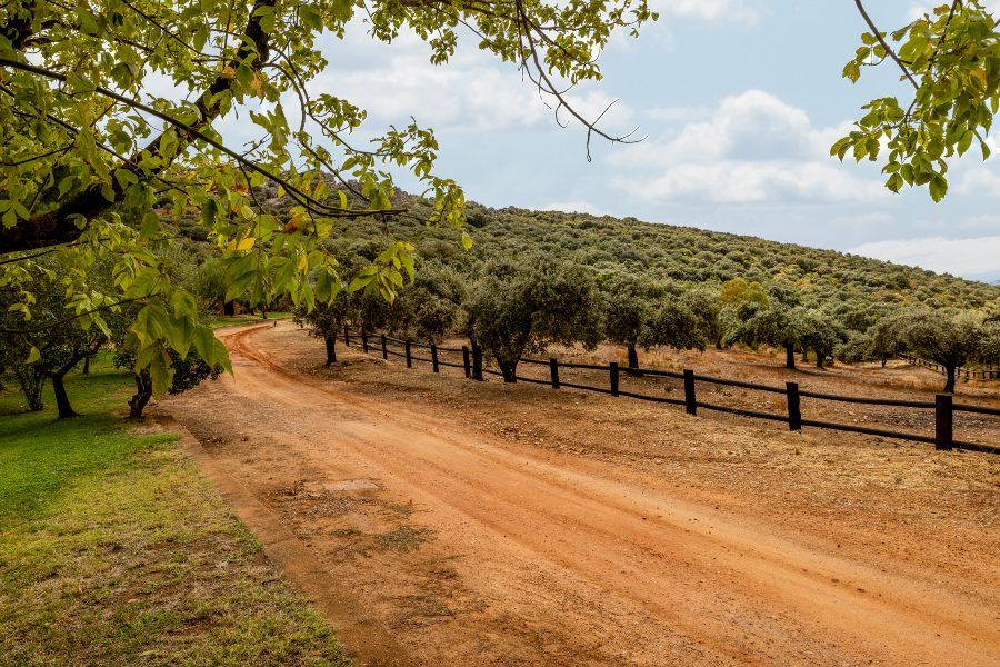 Caminos para pasear por la finca